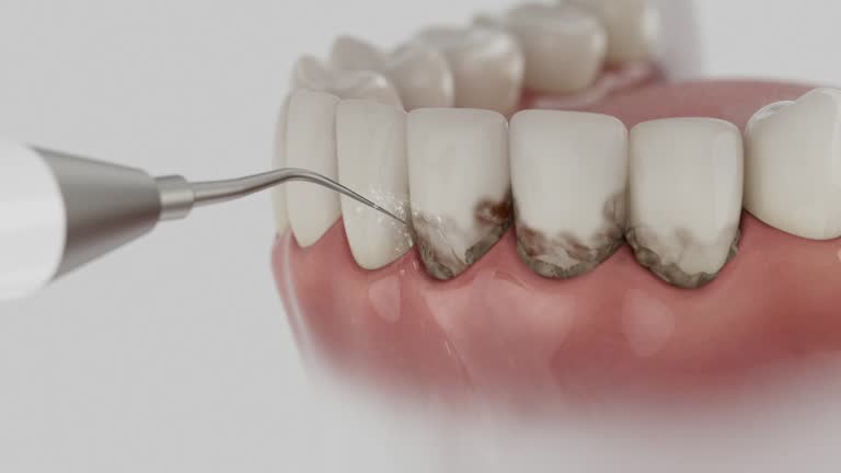 Reliable Dental contractor in Como, MS by Dentist Open Now